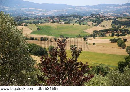 Trees With The Umbrian Countryside In The Background, Italy. High Quality Photo