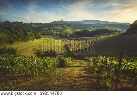 Panoramic View Of Countryside Chianti And Vernaccia Vineyards. San Gimignano At Sunset. Tuscany, Ita