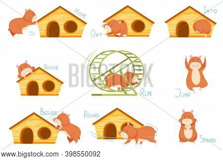 Cute Hamster Demonstrating English Verbs And Prepositions Of Place And Movement Vector Set