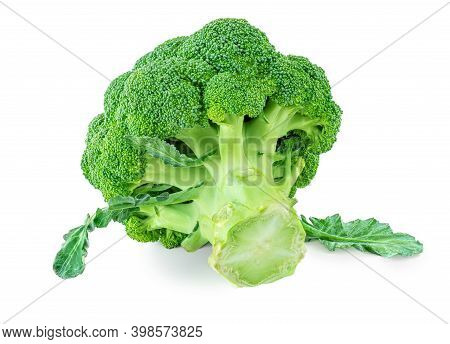 Broccoli Vegetable Isolated On White Background. Raw Green Broccoli Close Up