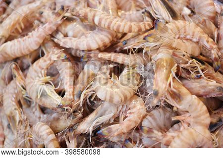 Pile Of Striped Shrimps Close Up. Heap Of Tiger Prawns At Sea Food Market. Delicatessen For Gourmet.