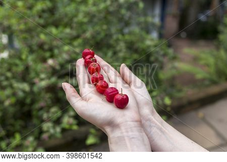 Girl Holding 