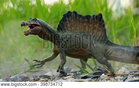 Spinosaurus Toy Stands On Nature Background.  Spinosaurid Dinosaur That Lived In What Now Is North A