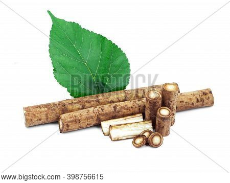 Burdock Roots Isolated On A White Background