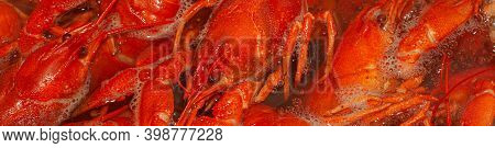 River Crayfish Are Boiled In Boiling Water. Red Freshly Boiled Crayfish. Narrow Banner. Close-up, Se