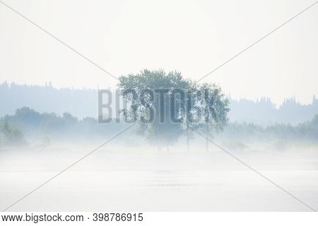 Wild River Bank With Tree And Bushes In Morning Fog