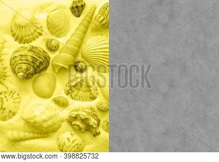 Trendy Colors Of Year 2021 Illuminating And Ultimate Gray, Yellow Top View Of Seashells And Gray Bac