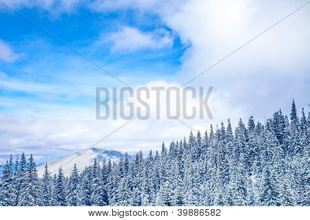 冬の風景