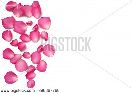 Blurred A Group Of Sweet Red Rose Corollas On White Isolated Background