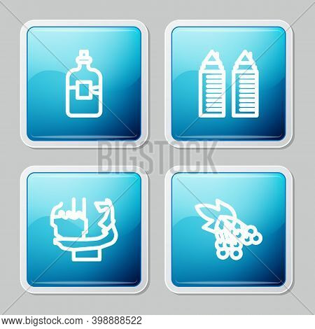 Set Line Bottle Of Vodka, Two Towers In Dnipro, Monument Founders Kiev And Branch Viburnum Icon. Vec