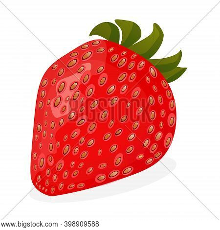 Detailed Realistic Strawberry Vector Illustration Isolated On White Background. Bright And Attractiv