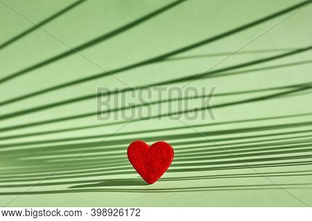 Red Felted Heart On Pastel Light Green Background With A Shadows Of Palm Leaf. Valentines Day. Roman