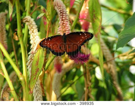 Pict0044