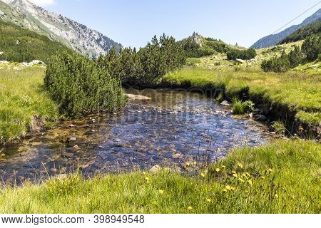 Banderitsa River Valley, Pirin Mountain, Bulgaria