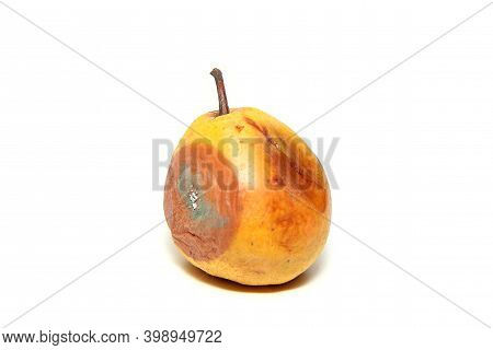 One Mouldy Pear. Rotten And Uneatable. Isolated On White Background.