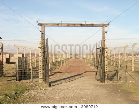 Concentration Camp In Poland