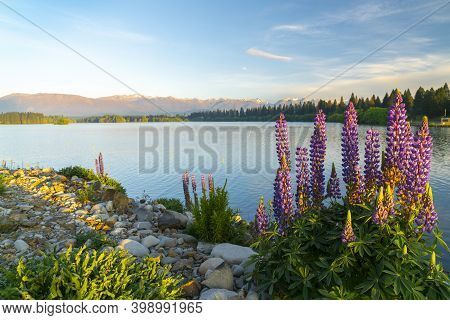 The Golden Hour Over Lake Ruataniwha, Twizel.