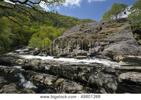 River Tywi RSPB Dinas