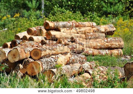 Stack of Logs
