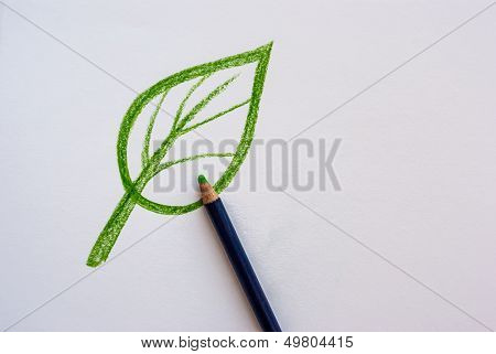 Hand Drawing Leaf With Pencil