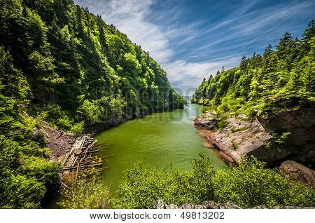 Point Wolf River
