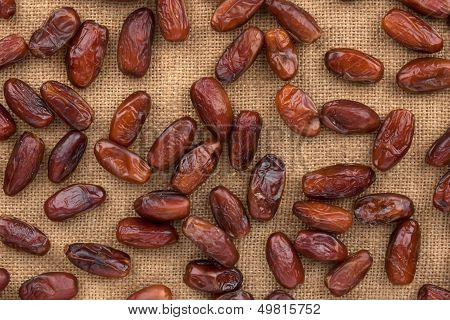 Background, Dates  Lying On Sackcloth