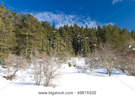 Abant