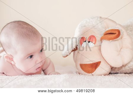 Baby With Sheep