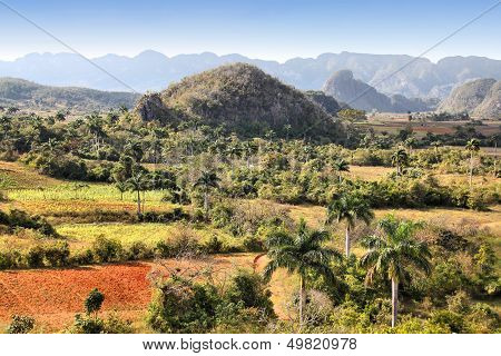 Cuba