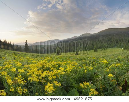 beautiful mountain scenery in the Carpathian mountains