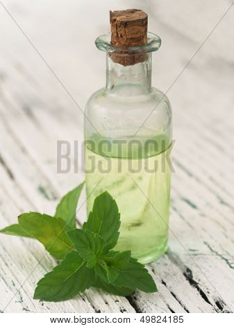 mint oil