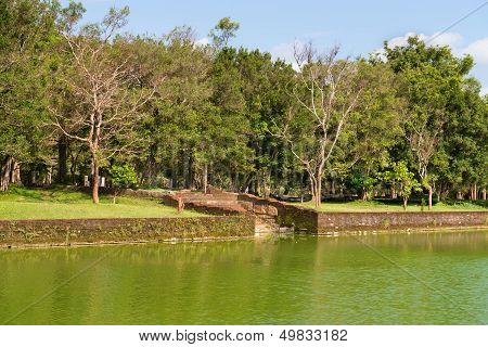 Gigantic Man Made Pond In Tropical Forest