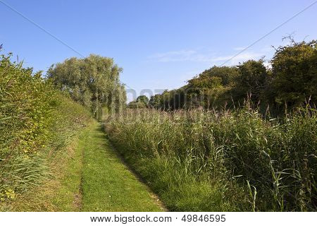 Summer Canal Towpath
