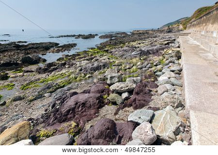 Colourful rocks between east and west beaches at Portwrinkle  Whitsand Bay Cornwall England