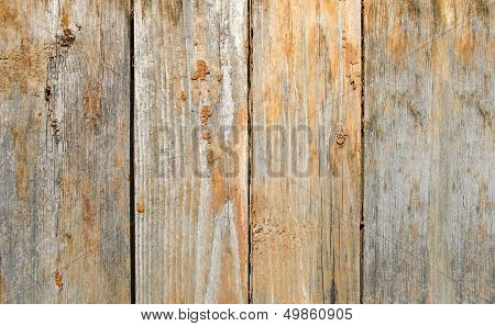 Wood Texture