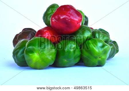 poivrons rouges et verts