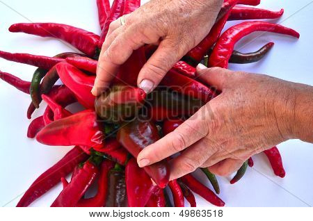 Mains tenant des piments