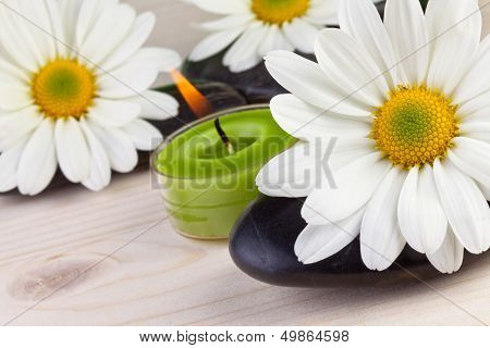 spa concept