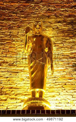 The Buddha under the light.