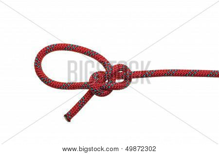 a Bowline knot on a white background