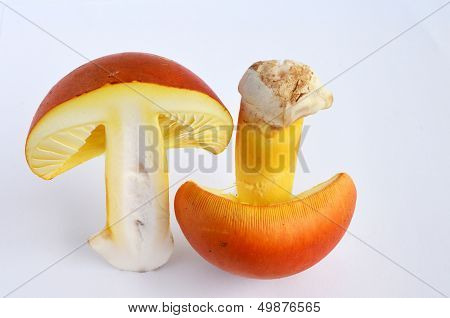Edible Amanita Caesarea Or Caesar's Mushroom 3