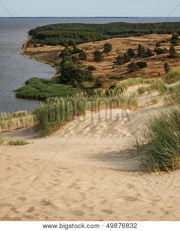 View From The Dune Nagliu, Curonian Spit, Lithuania