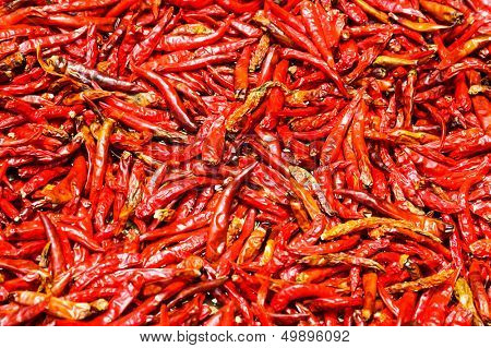 Rode chilipepertjes achtergrond