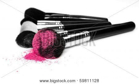 Makeup brushes and cosmetic powder