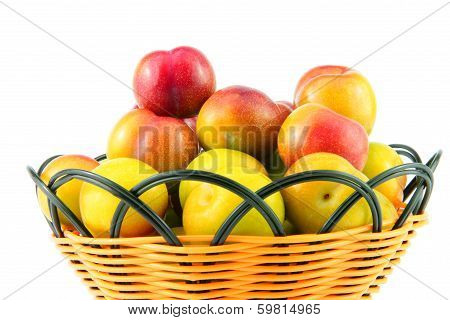 Plum