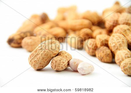 Peanut