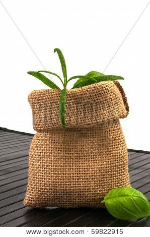 Herbs