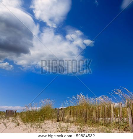 Alaior Cala Son Bou in Menorca dunes at Balearic islands