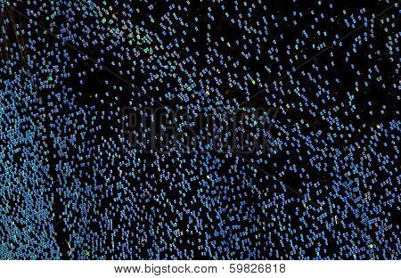 sparkles in the dark (close up of butterfly wing)
