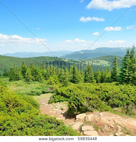 mountains covered trees and blue sky                                    